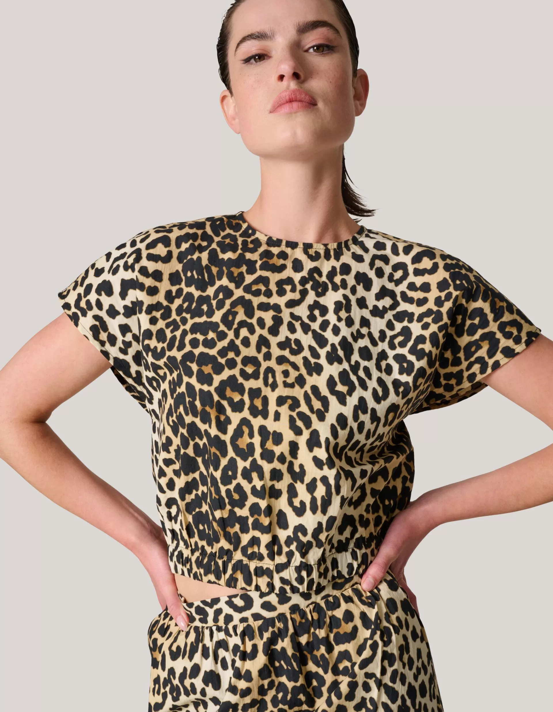 Leopard Poplin Cropped Top>Shoeby Shop